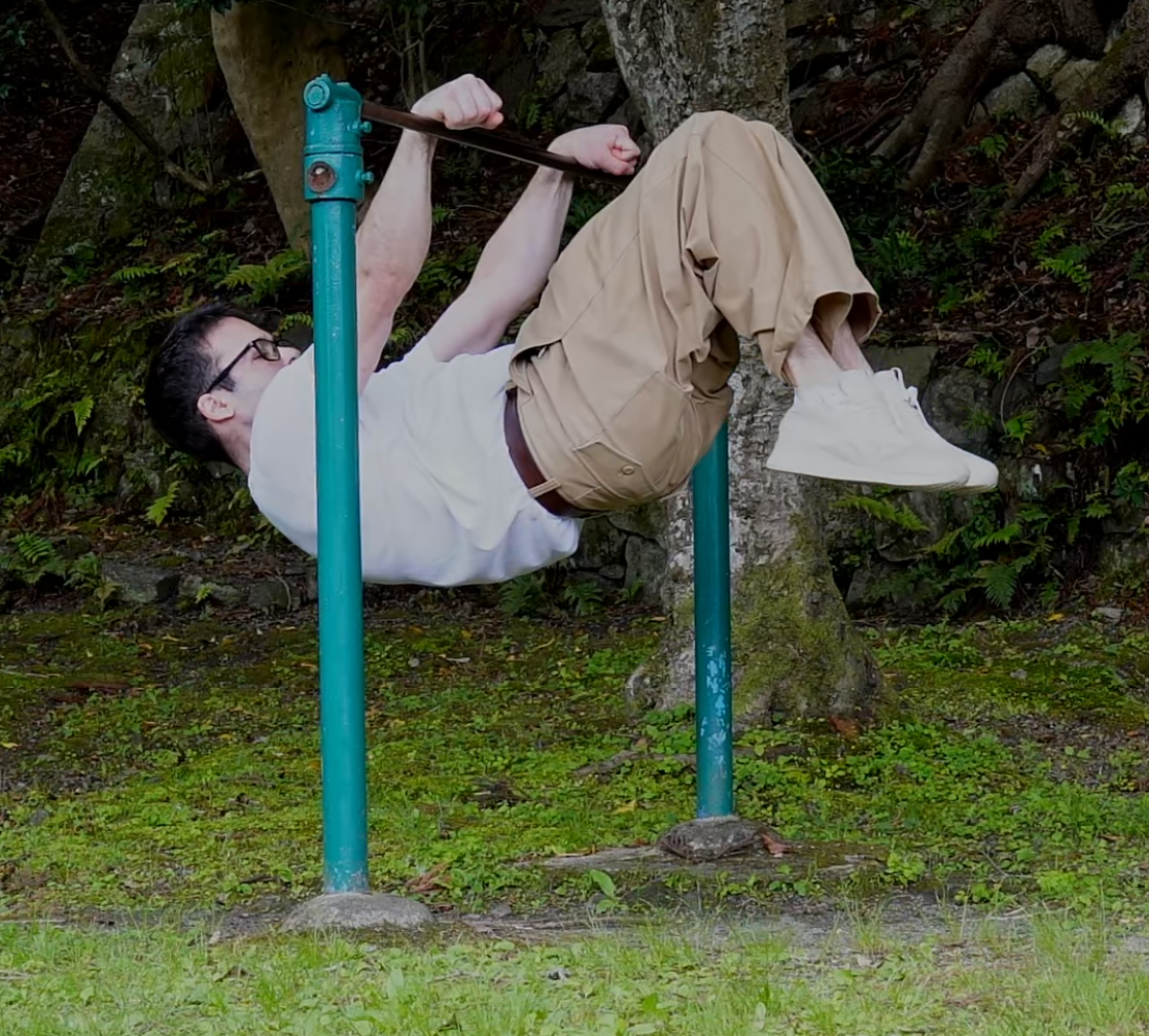 Beautiful strength calisthenics